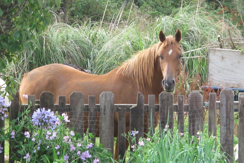 Little Paradise & Petting Farm เกรย์เมาท์ ภายนอก รูปภาพ
