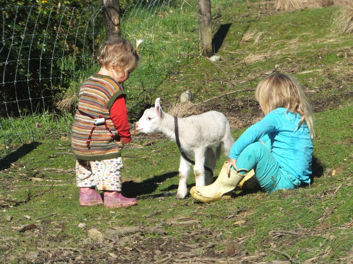 Little Paradise & Petting Farm เกรย์เมาท์ ภายนอก รูปภาพ
